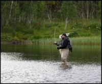 Bifogad bild: norge2010augusti698.jpg